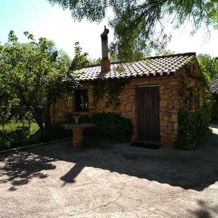 Casas Rurales Picos Del Oso Riópar Buitenkant foto