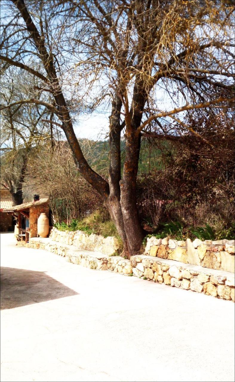Casas Rurales Picos Del Oso Riópar Buitenkant foto