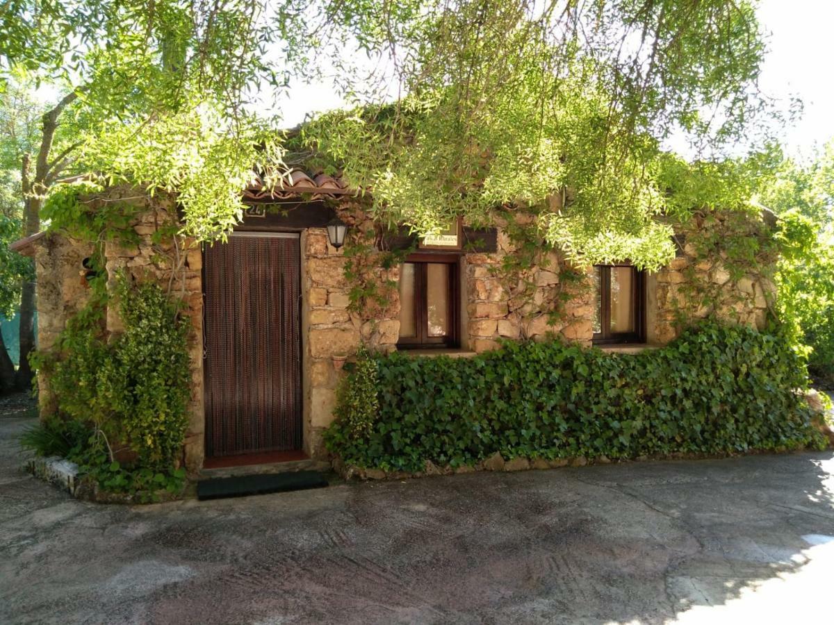 Casas Rurales Picos Del Oso Riópar Buitenkant foto