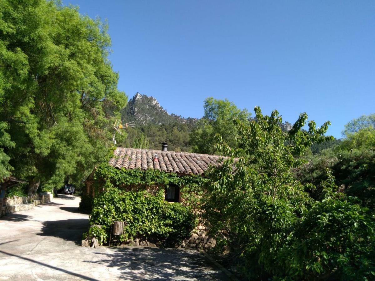 Casas Rurales Picos Del Oso Riópar Buitenkant foto